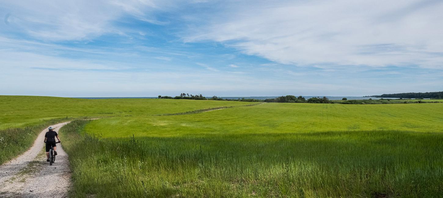 Nyborg Fyn Danmark Cykelferie