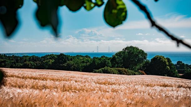 Nyborg Fyn Danmark Storebæltsbroen Mark