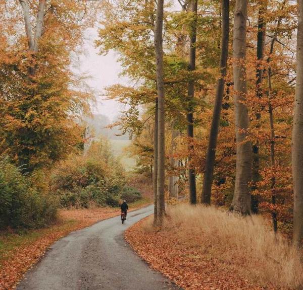 Tag på cykeltur ved Magelund Voldsted i Nyborg