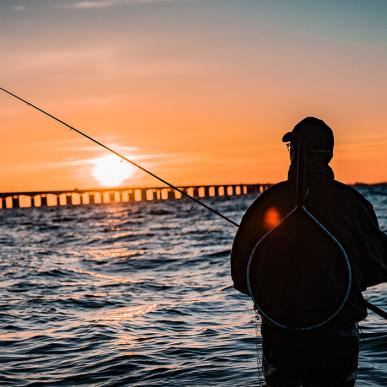 Nyborg Fyn Danmark Lystfiskeri