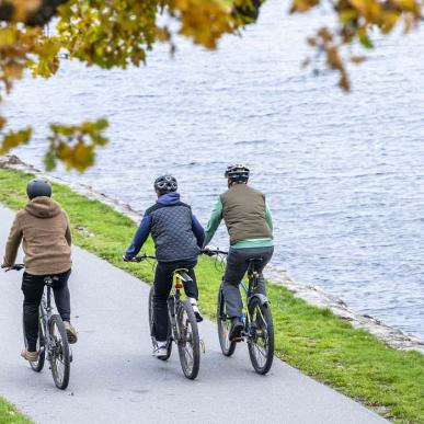 Tre cykellister, der cykler langs vandkanten på Herregårdsruten