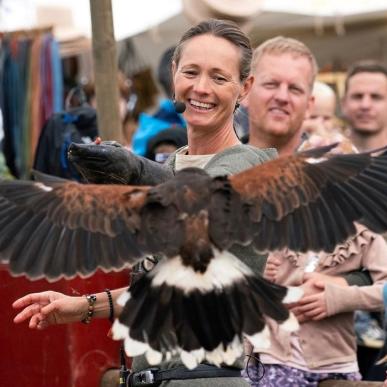 Erleben Sie die beeindruckende Falknerei-Show mit Harris Hawk im Danehof 2025 in Nyborg