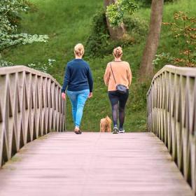 Einheimische Freunde machen einen Spaziergang im Ladegårdsskoven in der Nähe des Schloss Nyborg